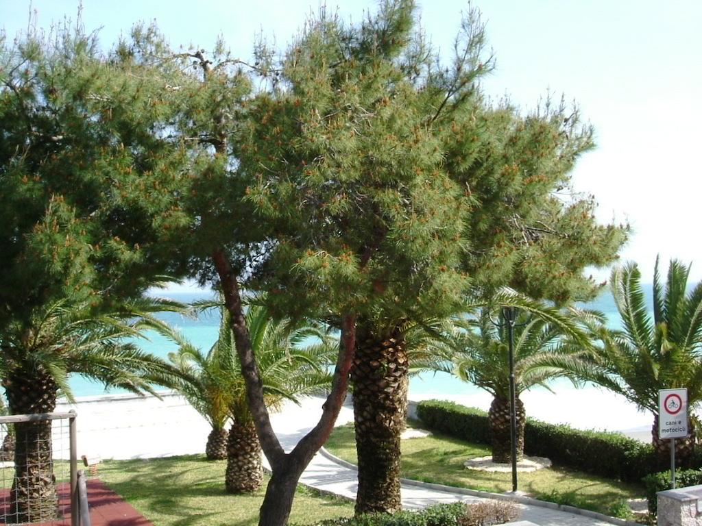 Taormina Beach House Mazzeo Phòng bức ảnh